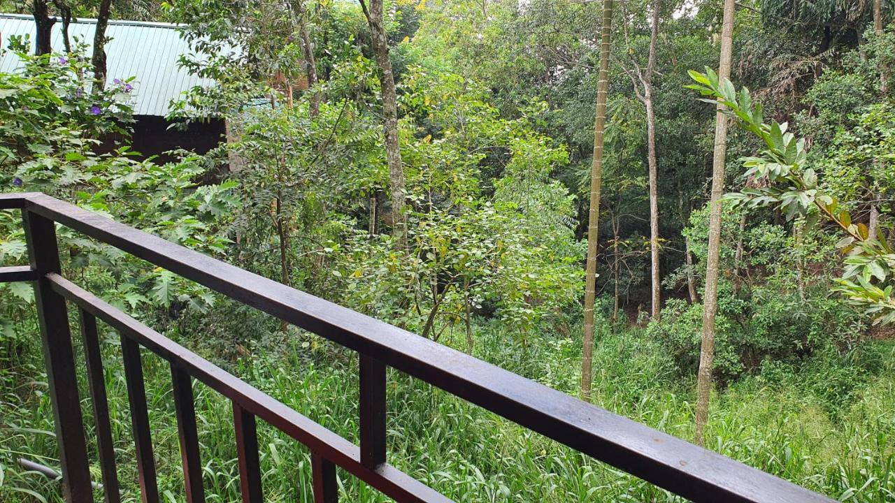 Eco Zone Resort Ella Eksteriør bilde